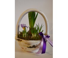 Floral arrangement Spring
