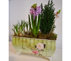 Spring Arrangement