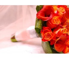 Cala bouquet